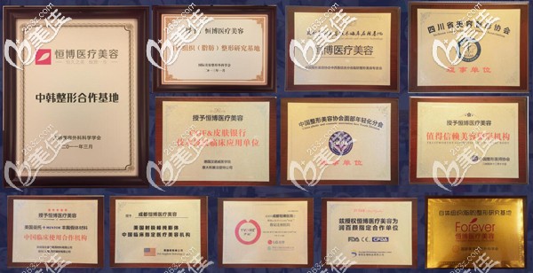成都恒博天姿整形美容醫(yī)院榮譽