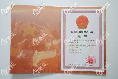 個人榮譽 個人榮譽