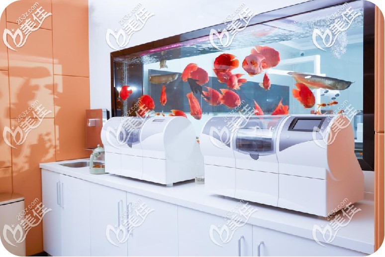 德國瓷?？桃闻孕迯?fù)系統(tǒng)