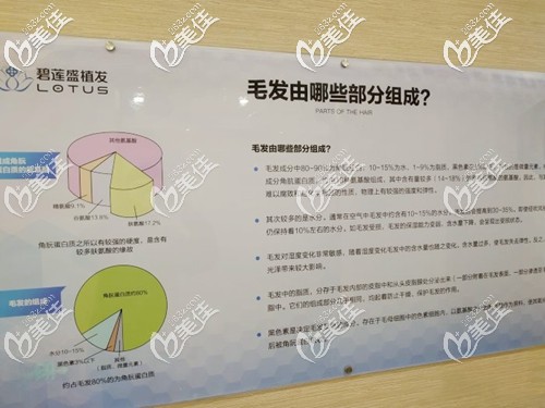 蘇州碧蓮盛植發(fā)知識墻 蘇州碧蓮盛植發(fā)知識墻