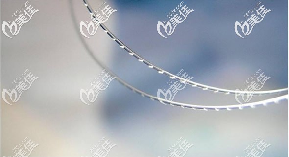 意大利悅升線形狀 意大利悅升線形狀