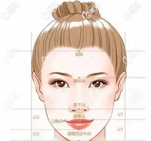 發(fā)際線好看的標準比例 發(fā)際線好看的標準比例