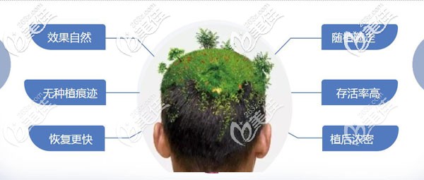 沈陽(yáng)華美植發(fā)技術(shù)優(yōu)勢(shì)