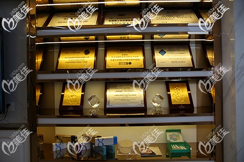 寧波海曙熙美榮譽獎牌 寧波海曙熙美榮譽獎牌