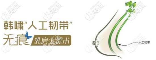 人工韌帶提胸術(shù)價(jià)格揭秘 人工韌帶提胸術(shù)價(jià)格揭秘