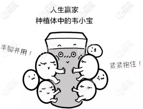 zimmer種植體更適合無牙頜即刻種植修復技術