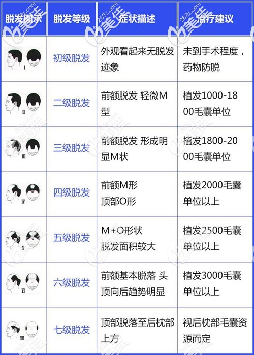 脫發(fā)等級對應的毛囊種植數(shù)量 脫發(fā)等級對應的毛囊種植數(shù)量
