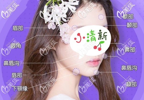 玻尿酸填充全臉的部位