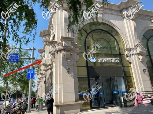 濟南碧蓮盛的具體地址 濟南碧蓮盛的具體地址