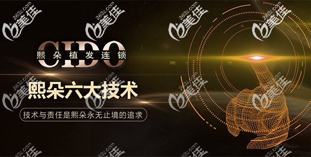 熙朵植發(fā)6大技術