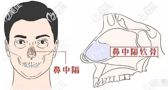 擅長(zhǎng)鼻中隔綜合隆鼻的李理醫(yī)生 擅長(zhǎng)鼻中隔綜合隆鼻的李理醫(yī)生