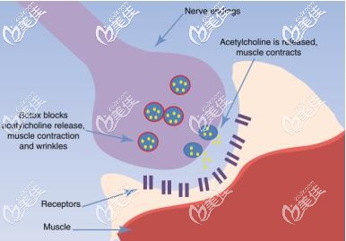 微針去眼周細(xì)紋原理