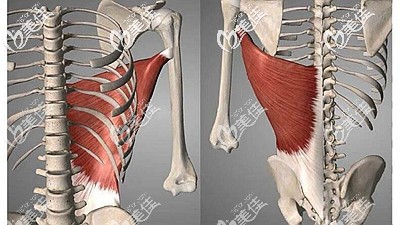 隆鼻時用筋膜的作用 隆鼻時用筋膜的作用
