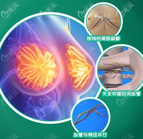 棉花糖豐胸原理