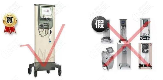 真假熱瑪吉外形對比 真假熱瑪吉外形對比