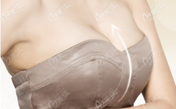 美胸示意圖