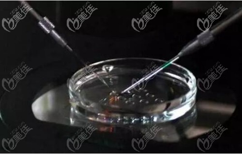 專業(yè)低溫分離培育 專業(yè)低溫分離培育