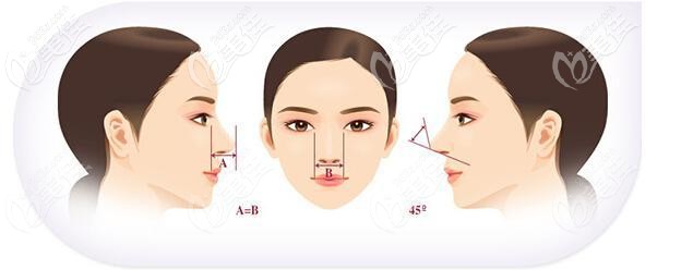 好看鼻子的美學(xué)標準