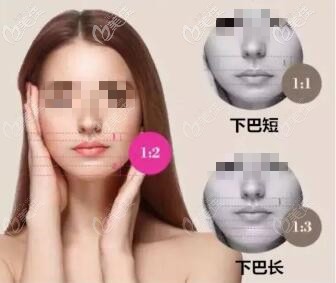 下巴長(zhǎng)度比例 下巴長(zhǎng)度比例