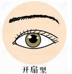 開扇形雙眼皮形態(tài) 開扇形雙眼皮形態(tài)