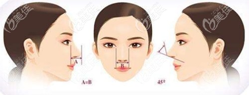 隆鼻手術(shù)的美學(xué)