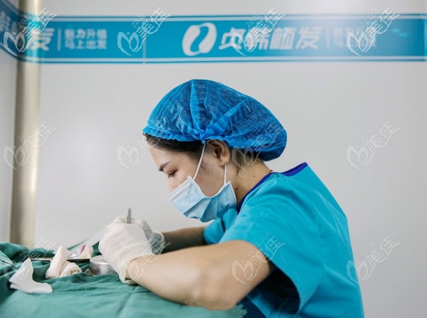 院內(nèi)擅長(zhǎng)多種先進(jìn)的種植技術(shù)