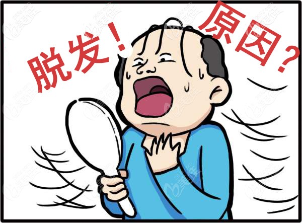 大面積脫發(fā)原因是什么
