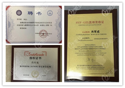 肖軍成醫(yī)生榮譽展示 肖軍成醫(yī)生榮譽展示