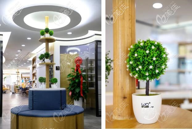 蘭州牙王國口腔環(huán)境 蘭州牙王國口腔環(huán)境