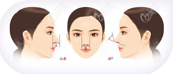 鼻部美學(xué)標(biāo)準(zhǔn) 鼻部美學(xué)標(biāo)準(zhǔn)