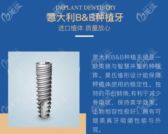 種1個(gè)意大利bb牙多少錢(qián)