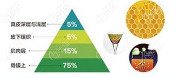 曹斯頔院長自體脂肪填充面部技術優(yōu)勢 曹斯頔院長自體脂肪填充面部技術優(yōu)勢