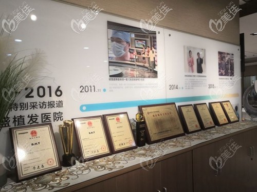 碧蓮盛植發(fā)所獲榮譽(yù)
