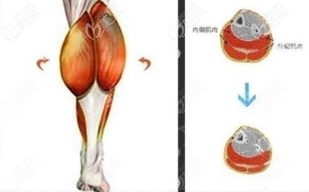 常維國術(shù) 常維國術(shù)