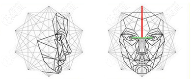 杭州藝星任義醫(yī)生脂肪填充優(yōu)勢(shì) 杭州藝星任義醫(yī)生脂肪填充優(yōu)勢(shì)