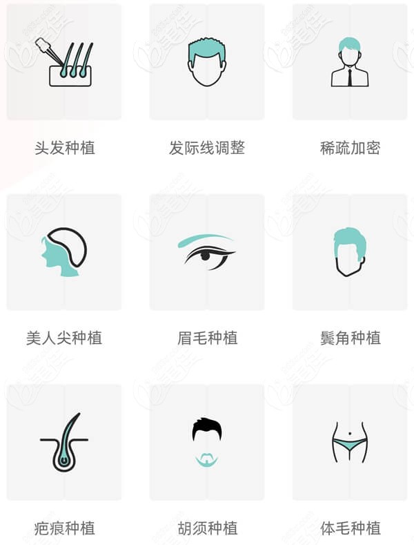 <!--<i data=20240703-sp></i>-->開展的毛發(fā)移植項目 <!--<i data=20240703-sp></i>-->開展的毛發(fā)移植項目