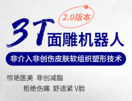 3T面雕機(jī)器人