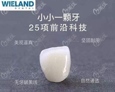 德國(guó)威蘭德全瓷牙