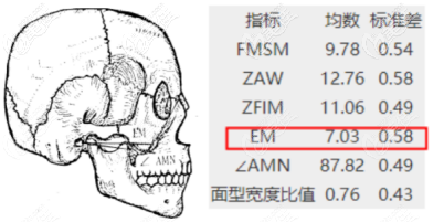 顴弓寬度的數(shù)值參考1
