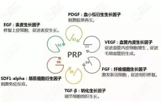 PRP的治療范圍 PRP的治療范圍