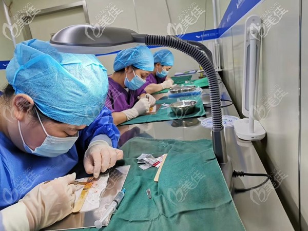 源森毛囊分離技術(shù) 源森毛囊分離技術(shù)