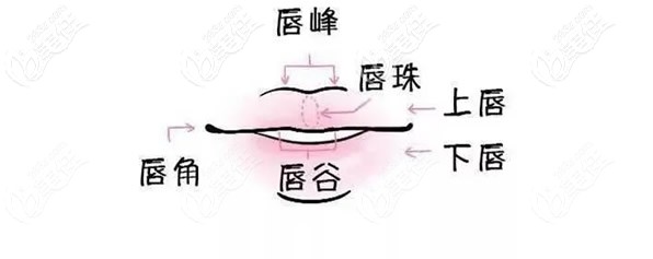 嘟嘟唇3點(diǎn)5點(diǎn)注射法圖 嘟嘟唇3點(diǎn)5點(diǎn)注射法圖