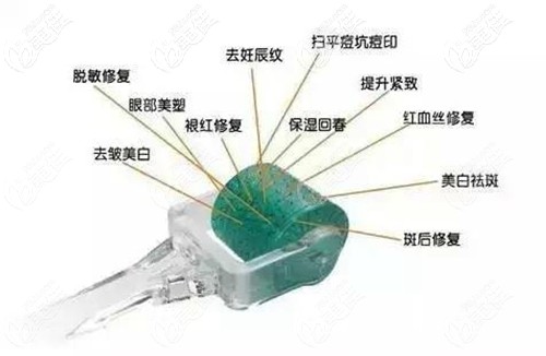 微針小滾輪 微針小滾輪