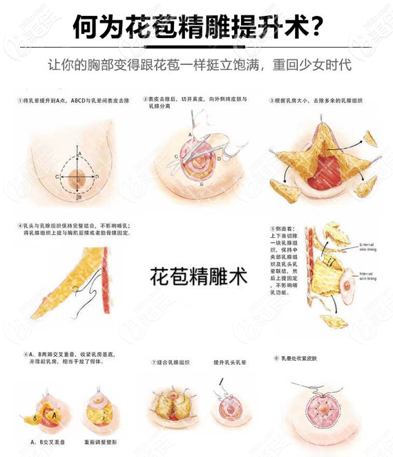 深圳南雅花苞<span style=