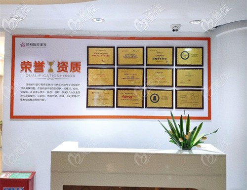 院內(nèi)獲得的榮譽資質(zhì)