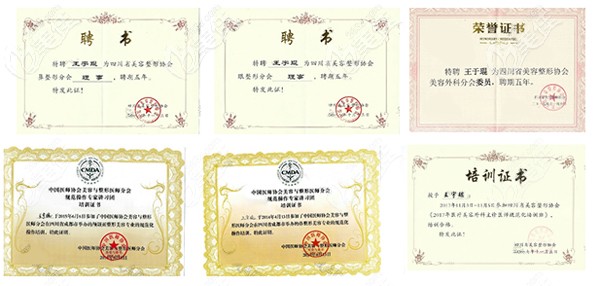 成都美辰星耀王宇琨醫(yī)生榮譽 成都美辰星耀王宇琨醫(yī)生榮譽