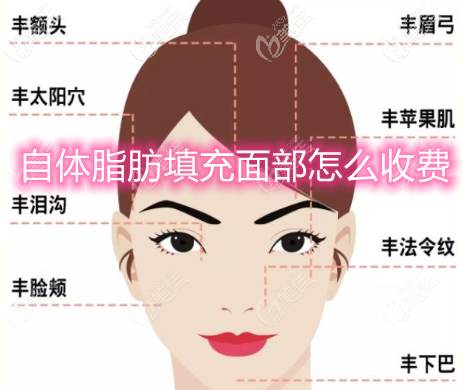 面部自體脂肪填充怎么收費