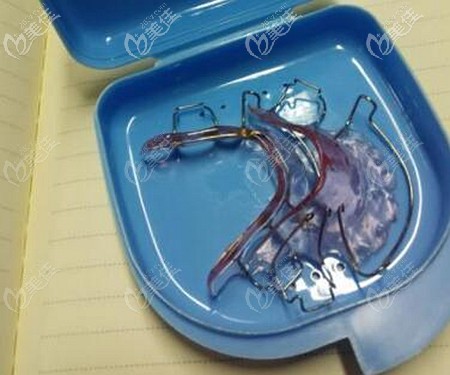 哈雷保持器圖片