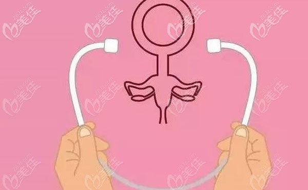 前后壁修補(bǔ)術(shù)和緊縮術(shù)的區(qū)別