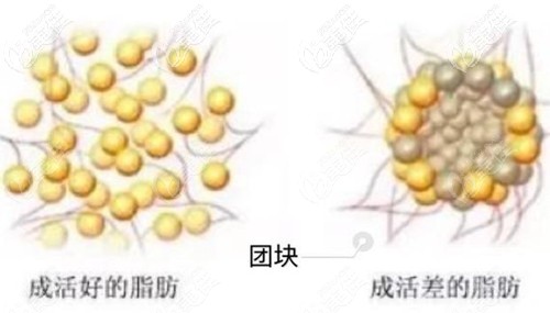 20210225_1614248887428500.jpg 3.jpg